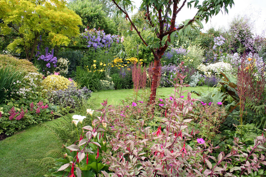 Cottage Gardens