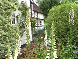 Eastgrovecottagegarden