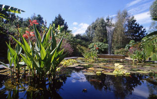 Eastruston exoticgarden