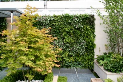 Eco Chic Garden