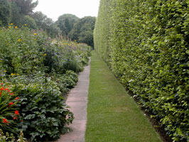 Edinburgh botanic gardens