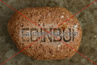 Edinburgh Brick
