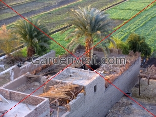Egypt Agricultural House