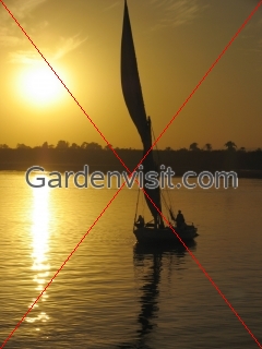 Egypt Nile Felucca