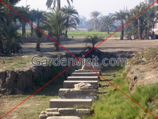 Egypt Sphinx Avenue