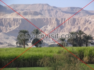 Egypt Temple Hatshepsut