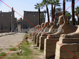 Egypt Temple Luxor