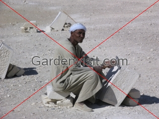 Egyptian Workman