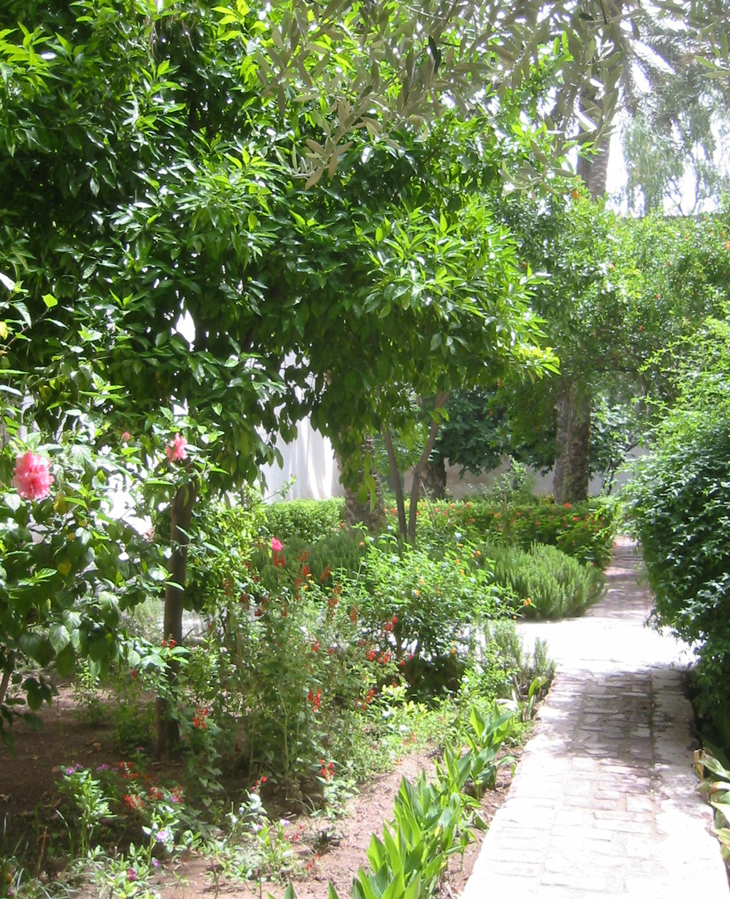 El Bahia Gardens