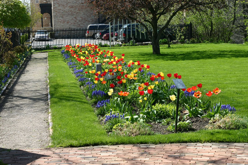 Eldon House Garden, London