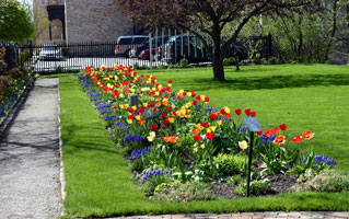 Eldonhousegarden