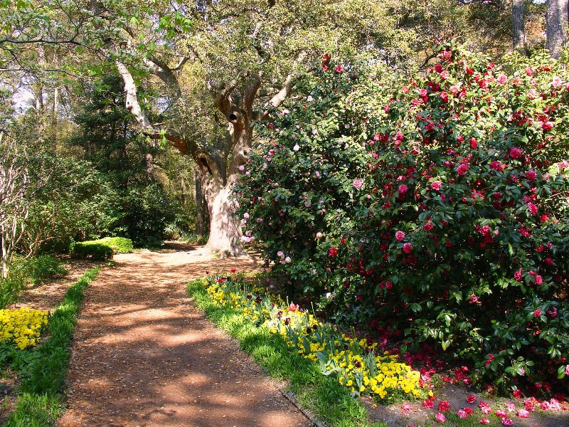 Path, Elizabethan Gardens