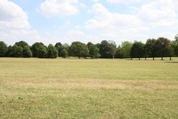 Eltham Park