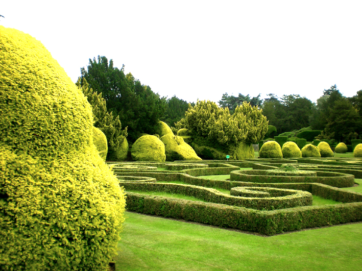 Elvaston Castle Country Park Chris Summerlin