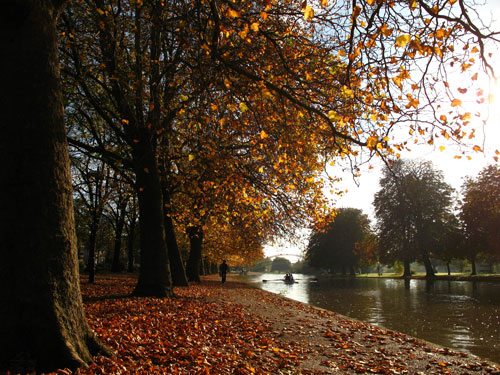 Embankment Gardens in Autumn