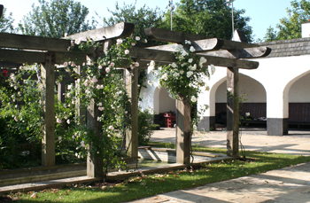 The garden by Charles