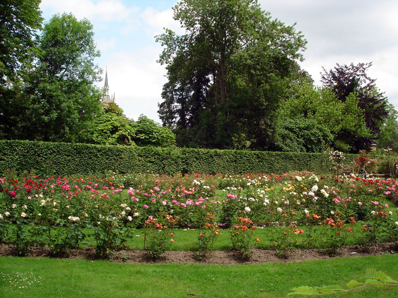 Roseraie, Parc d'Enghein