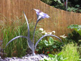 Chelsea Flower Show