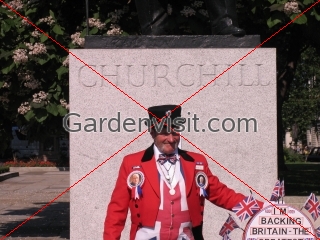 English Patriot