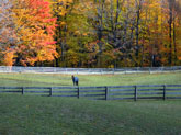 Equestrian property