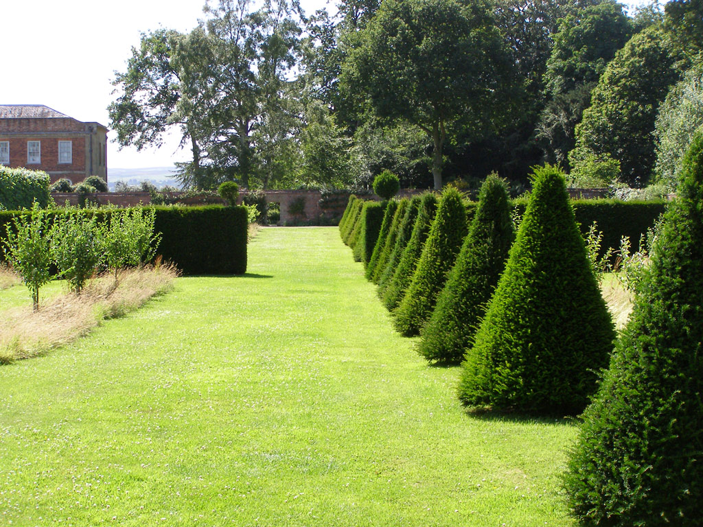 Hedges, Erddig Garden