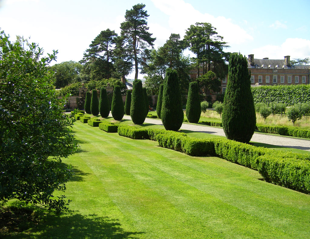 Yew Allee, Erddig