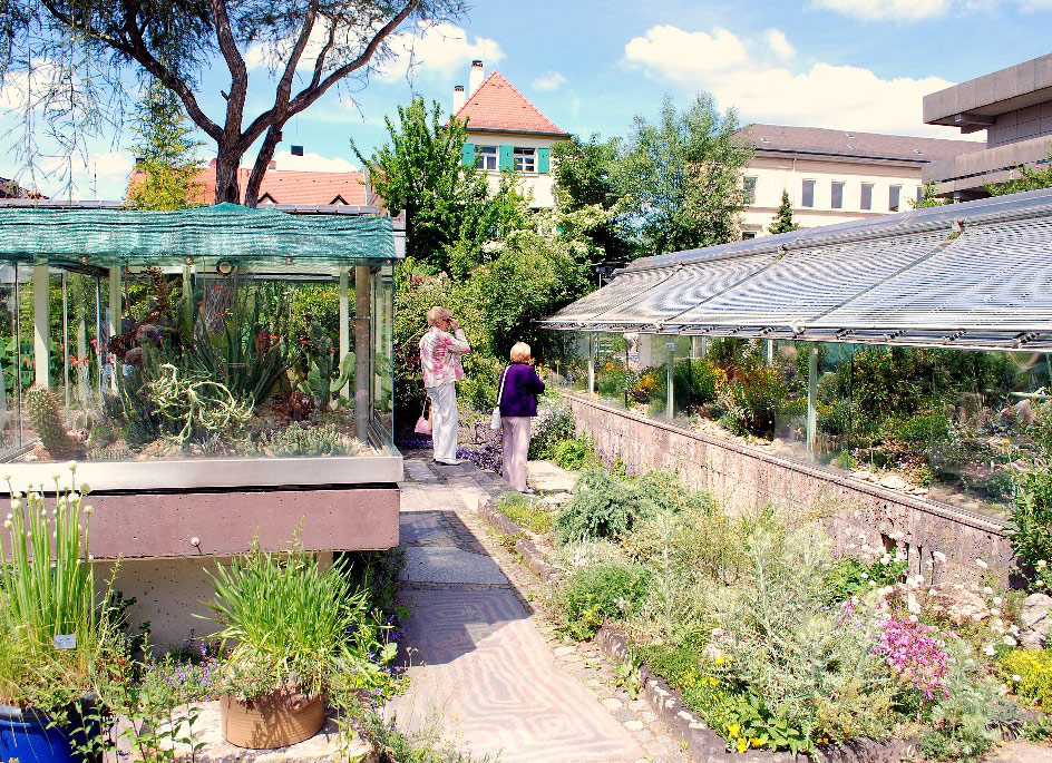 Erlangen Botanic Garden, Germany