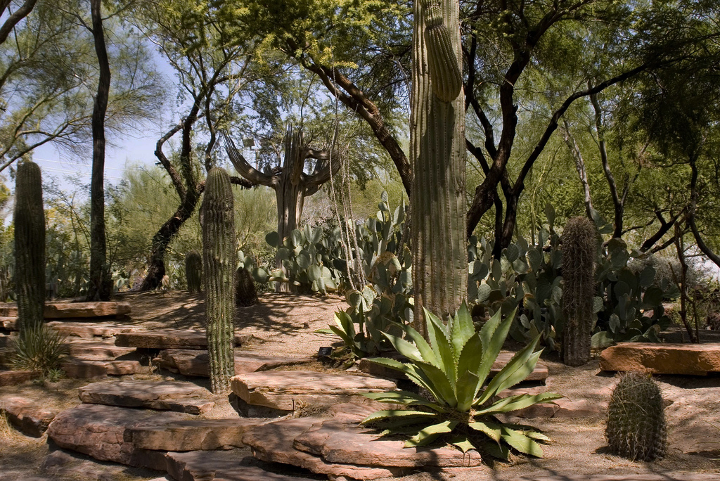 Ethel M Chocolate Factory and Botanical Cactus Gardens