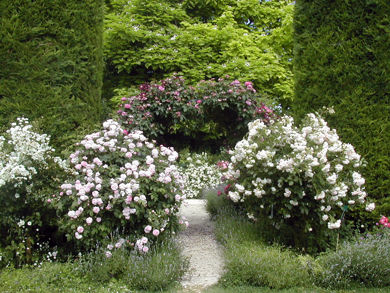 Ettenbuhl Garden, June