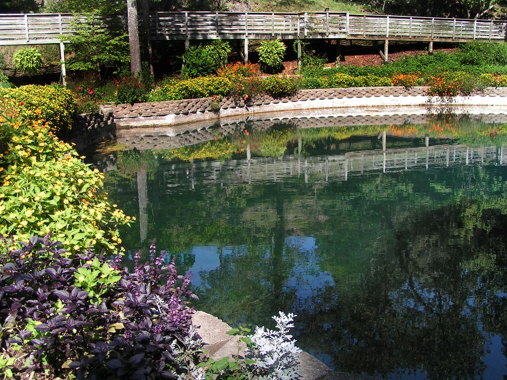 Eureka Springs Gardens Jerry Hendricks