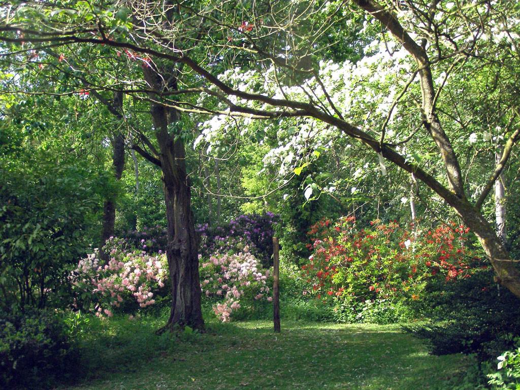 Evenley Wood