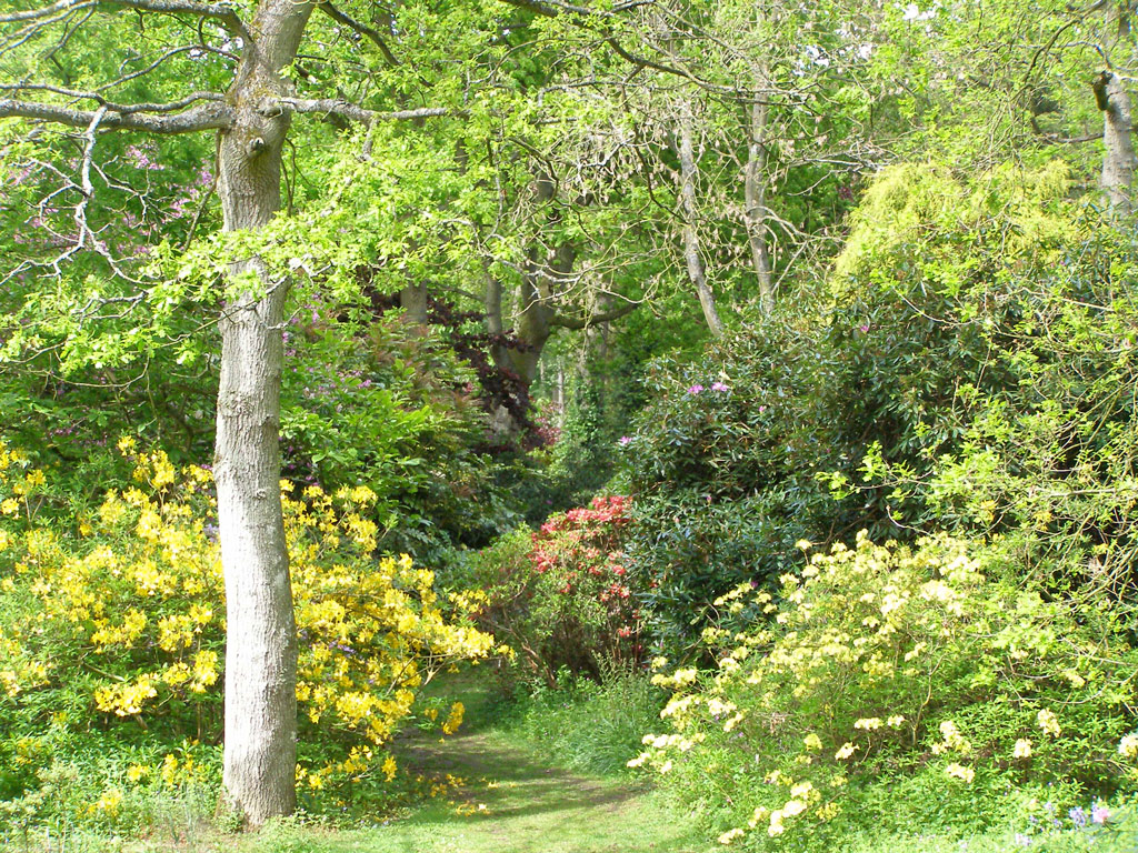 Evenley Wood Garden, 2009