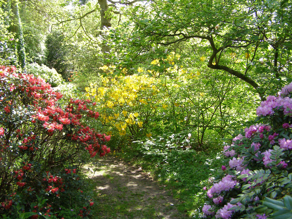 Evenley Wood Garden, Spring