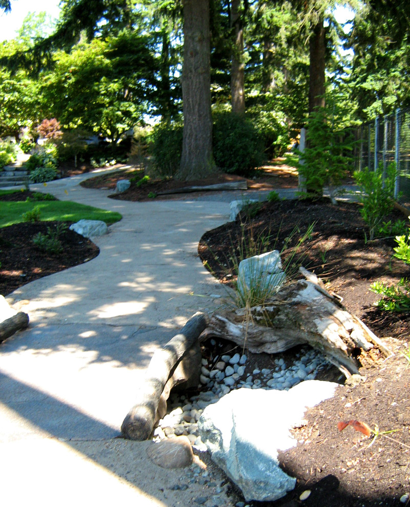 Evergreen Arboretum & Gardens