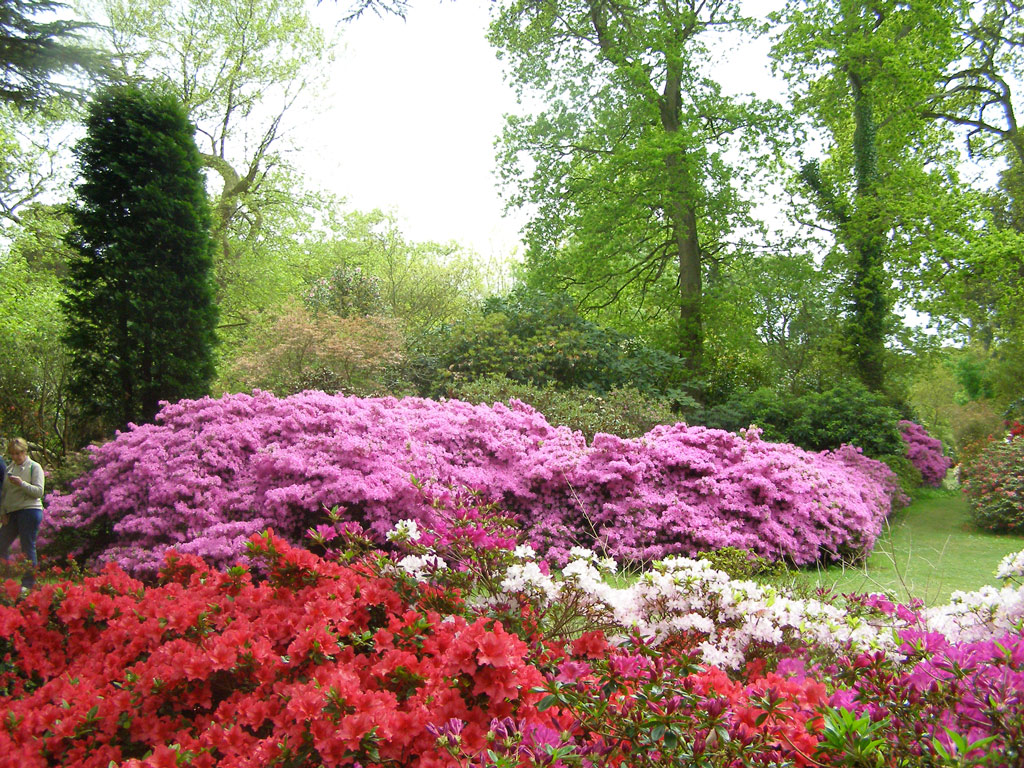 Exbury Gardens