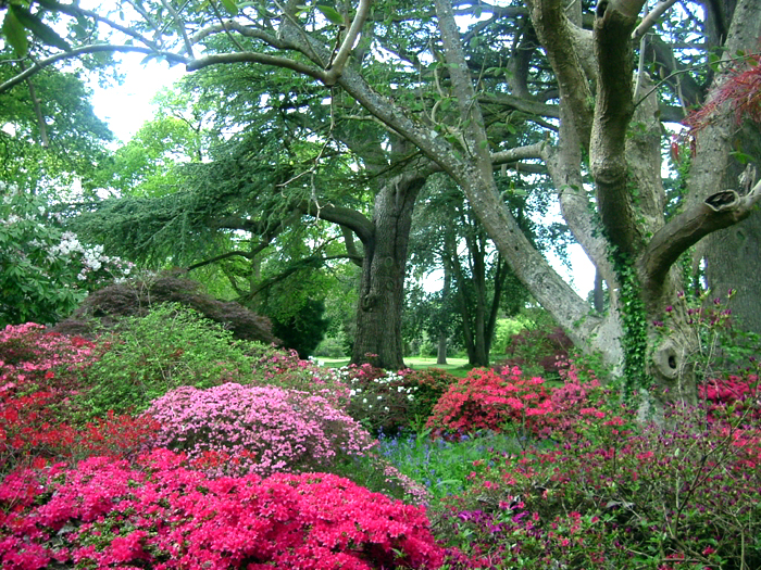 Exbury Gardens Joe Dunckley