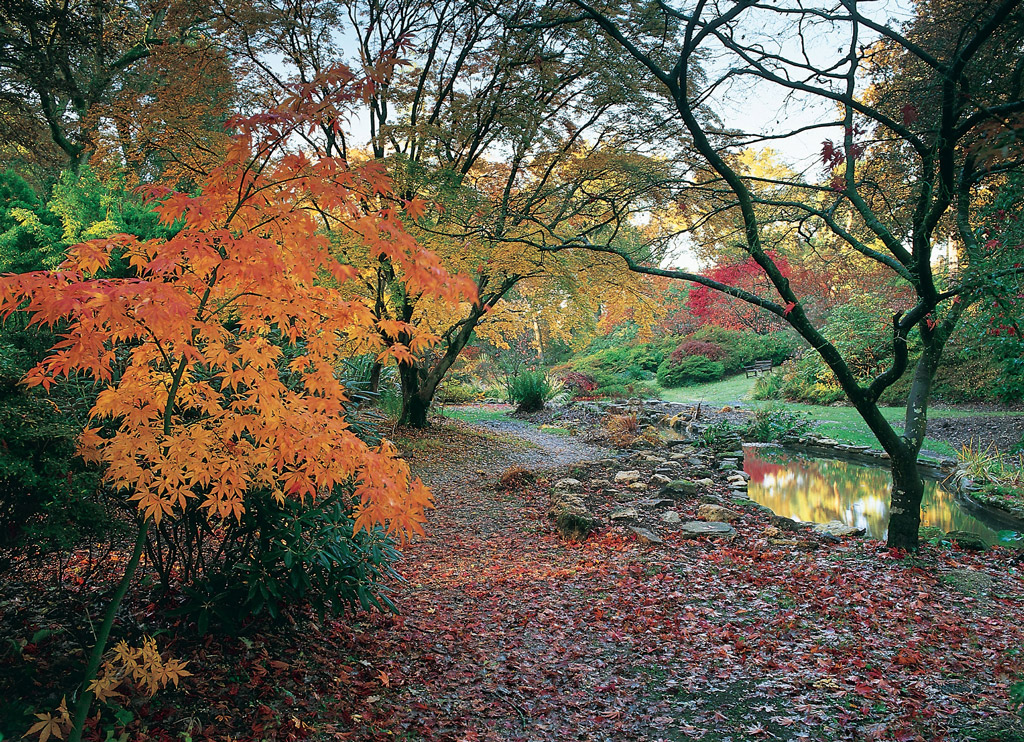 Autumn, Exbury Gardens