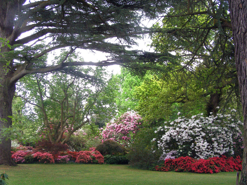 Exbury Gardens, Hampshire