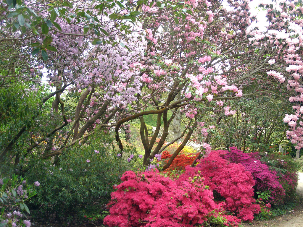 Exbury Gardens, Hants