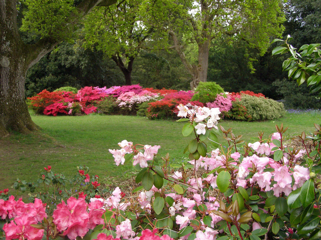 Exbury Gardens, Spring