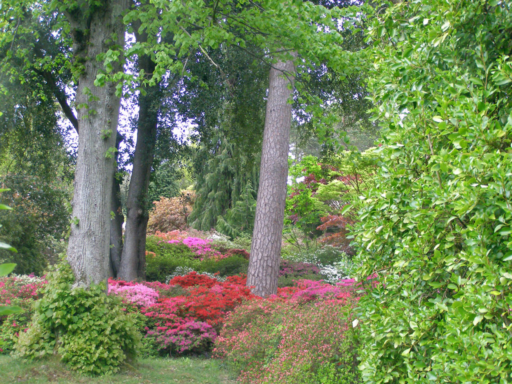 Exbury, Hampshire