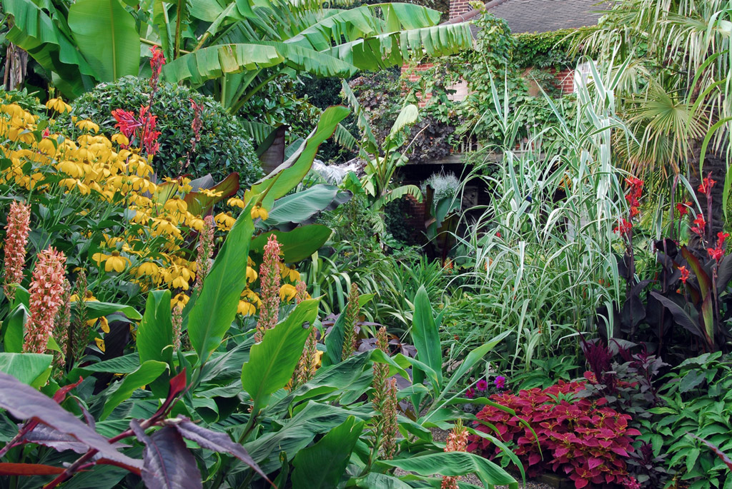 The Exotic Garden, August