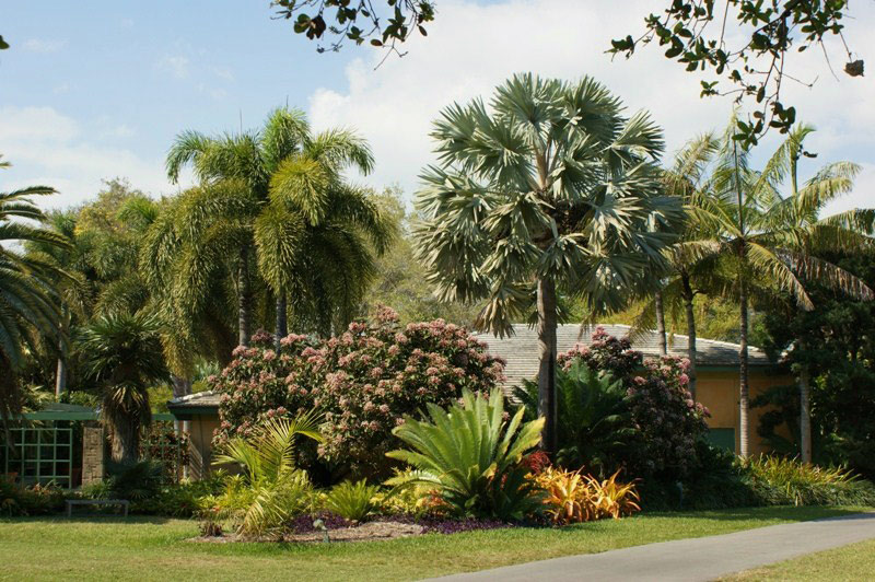 Fairchild Tropical Botanic Garden