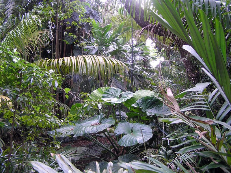 Fairchild Tropical Botanic Garden