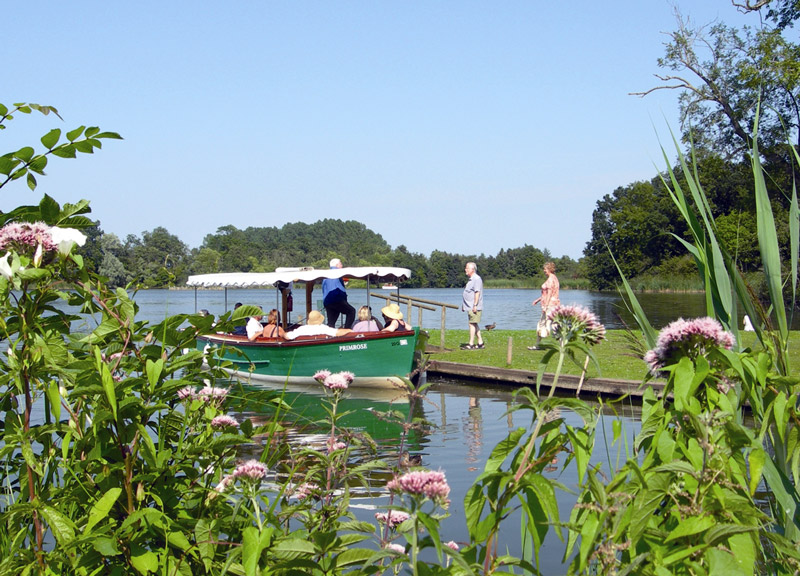 Fairhaven Garden