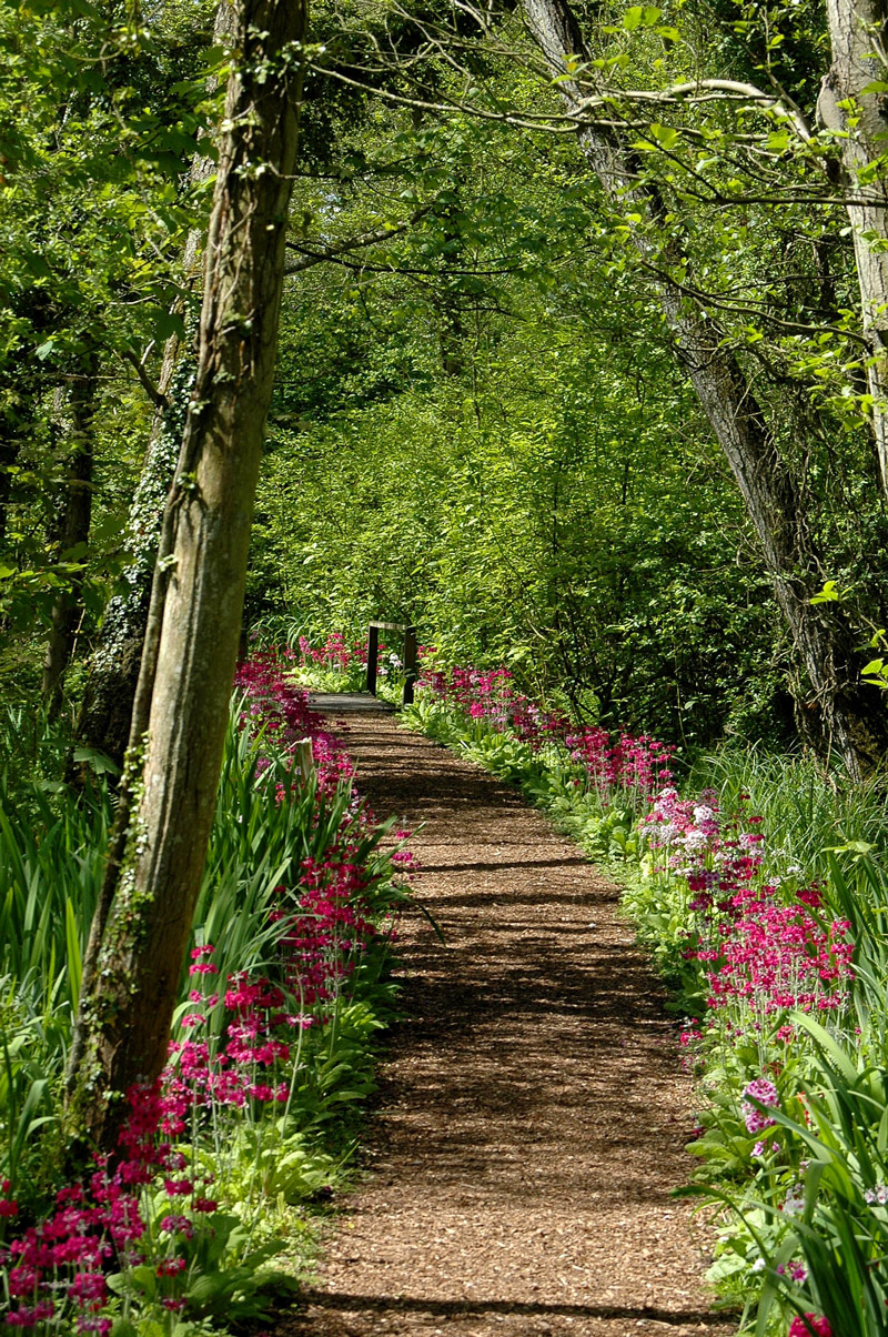 Fairhaven Garden, Norfolk