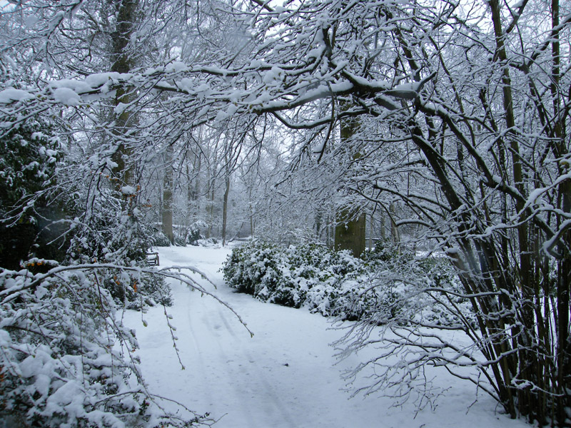 Fairhaven Garden in the Snow
