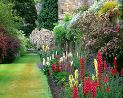 Falkland palace garden nts