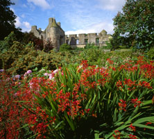 Falklandpalacegarden