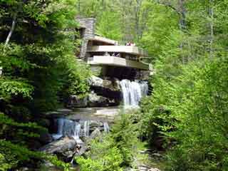 Fallingwater garden